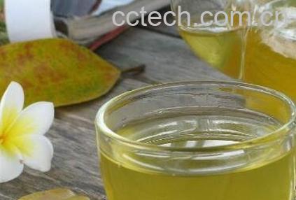 夏天喝什么茶最好-0