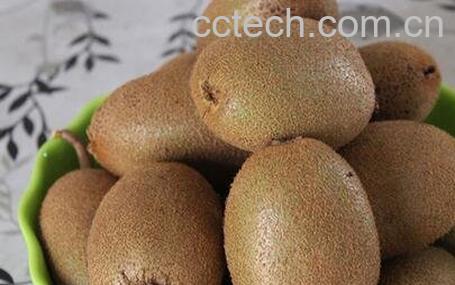 硬硬的奇异果能吃吗 硬弥猴桃怎样变软-0