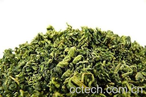 枸杞芽茶的功效与作用-1