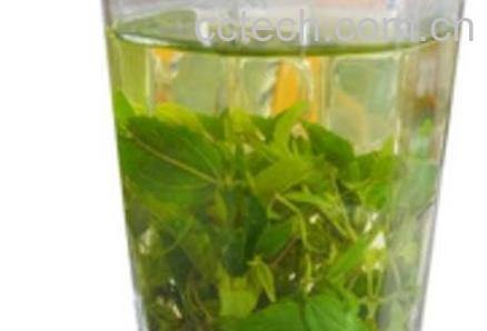 山枣叶茶的功效与作用-0