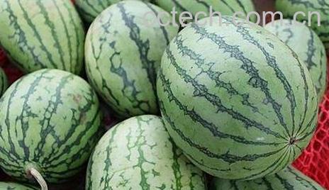 怎样判断西瓜是否成熟-0