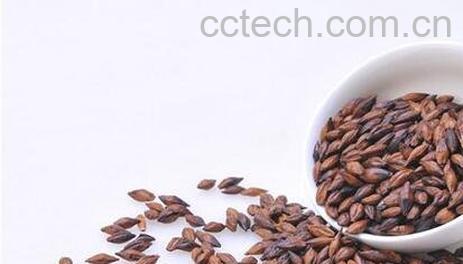 大麦茶怎么泡 大麦茶的做法-1