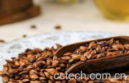 大麦茶怎么泡 大麦茶的做法-0