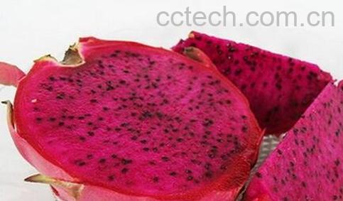 坐月子吃火龙果的功效与作用-0