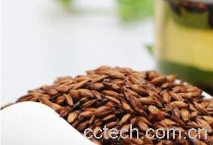 孕妇可以喝大麦茶吗-1