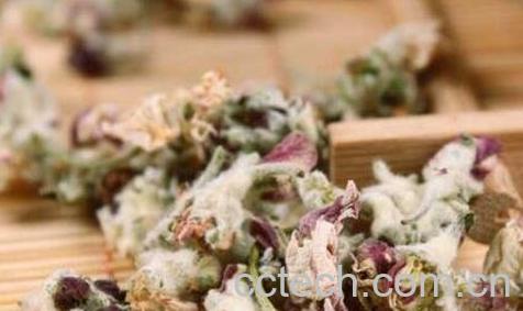 苹果花茶的功效与作用及冲泡方法-0