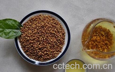 女性喝苦荞茶的作用-0