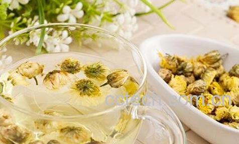 胎菊花茶的功效与作用-0