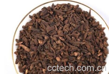 蒲公英根茶的功效与作用-0