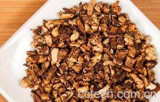 蒲公英根茶的功效与作用-1