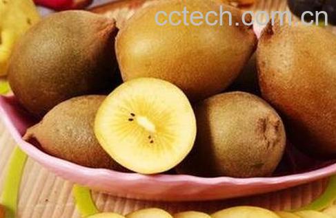 如何挑选甜的奇异果-0