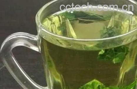 桑叶茶的功效与禁忌-0