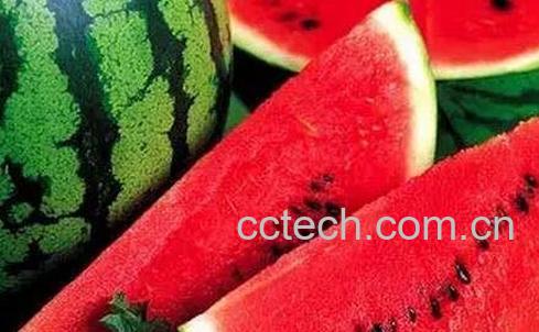 蒸西瓜的功效与作用-0