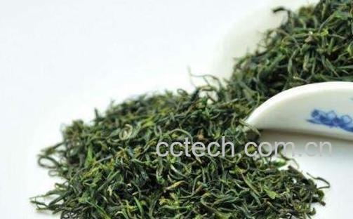 毛尖茶的功效与作用及冲泡方法-0