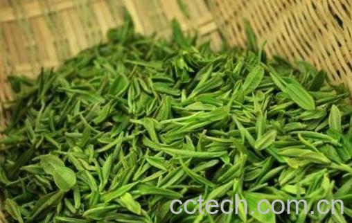 毛尖茶的功效与作用及冲泡方法-1