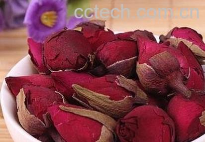 月季花茶的功效与作用及禁忌-0