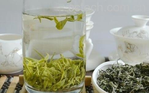 碧螺春茶叶的功效与作用-1
