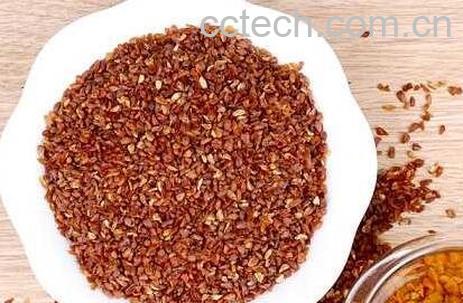 黑苦荞胚芽茶的功效与作用-1