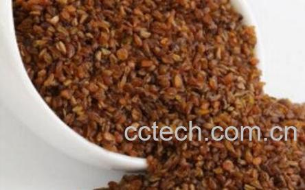 黑苦荞胚芽茶的功效与作用-0