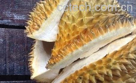 干榴莲壳的功效与作用-0