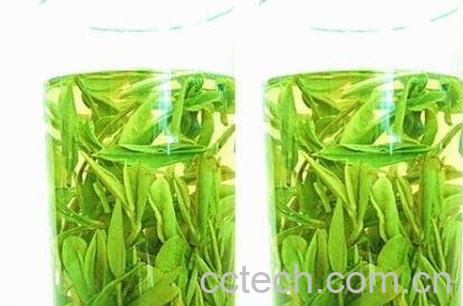 毛峰茶的功效与作用 毛峰茶的副作用-0