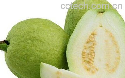 石榴芭乐的籽能吃吗-0