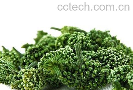 田七花茶的功效与作用-1