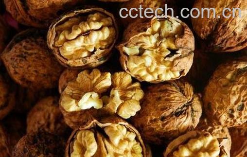 干核桃壳的功效与作用及食用方法-0