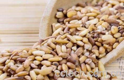 糙米茶的功效与作用及禁忌-1