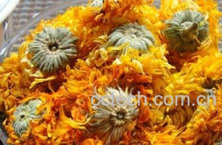 金盏菊花茶的功效与作用及冲泡方法-0