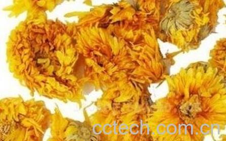 金盏菊花茶的功效与作用及冲泡方法-1