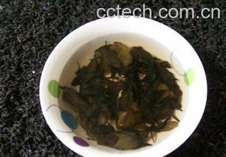 杜仲茶的功效与作用及禁忌-1