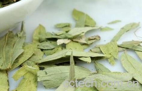 泻叶茶的功效与作用-0