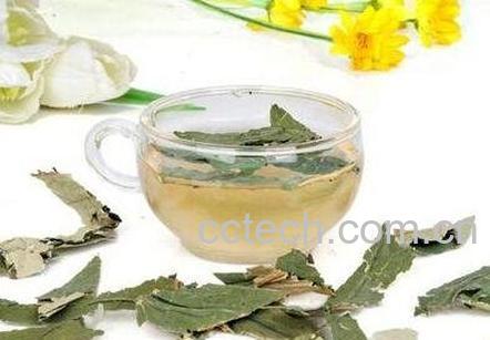 荷叶茶的功效与禁忌-1