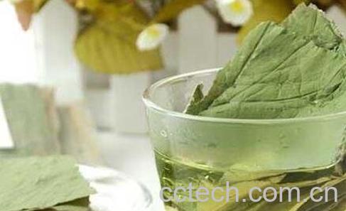 荷叶茶的功效与禁忌-0