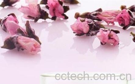 桃花茶的功效与作用及冲泡方法-0