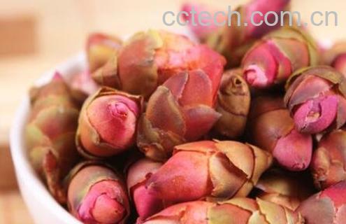 桃花茶的功效与作用及冲泡方法-1