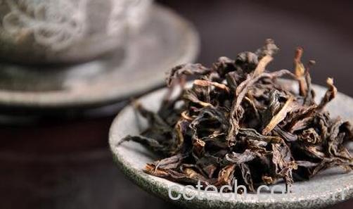 岩茶肉桂的功效与作用-0