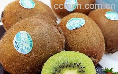 怎样挑奇异果和弥猴桃-0