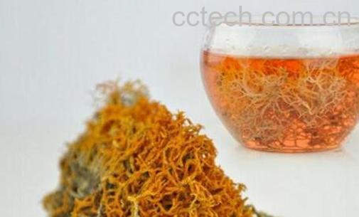 红雪茶的功效与作用-1