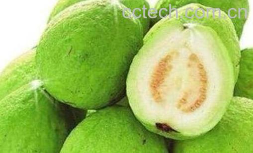 苹果和芭乐能同食吗 -0