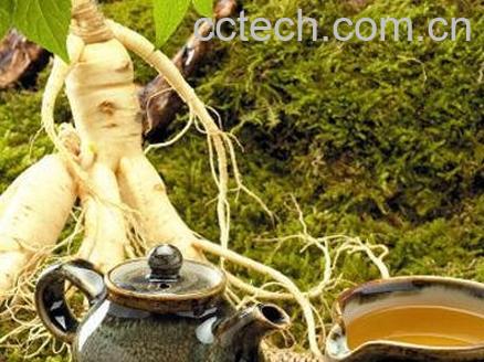 高丽人参茶的冲泡方法-1