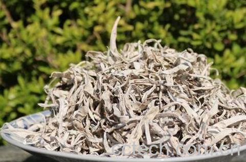 红雪茶和白雪茶哪个好-1