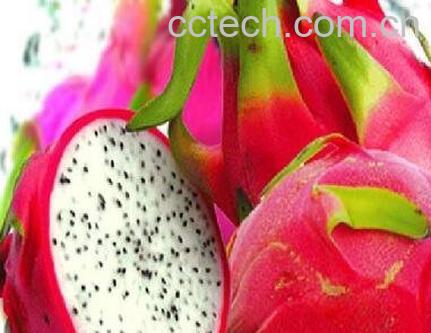 怎样说明火龙果变质了-0