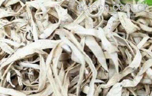 雪茶怎么泡 雪茶的泡法教程-0