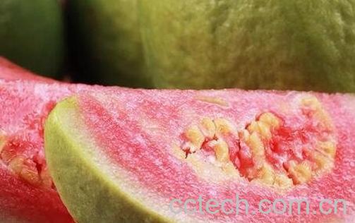 红心芭乐药用价值 -0