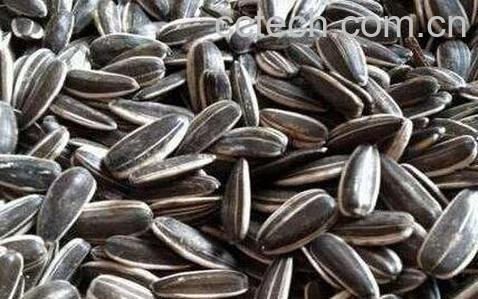 葵花籽壳的作用-0
