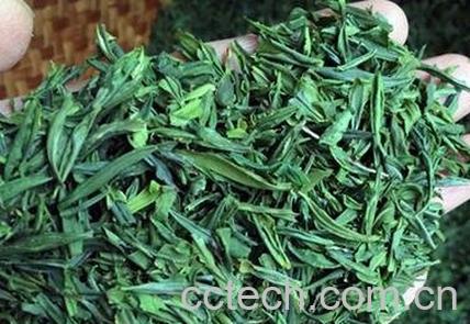 吃龙顶有哪些危害与功效-0