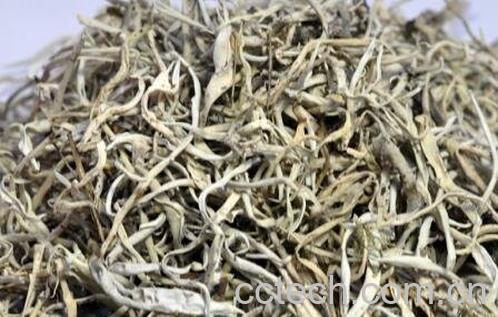 白雪茶的功效与作用-1