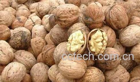 核桃硬壳的功效与作用-0